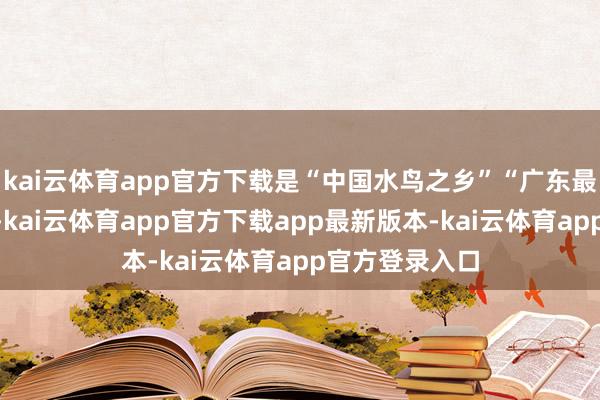 kai云体育app官方下载是“中国水鸟之乡”“广东最好意思湿地”-kai云体育app官方下载app最新版本-kai云体育app官方登录入口