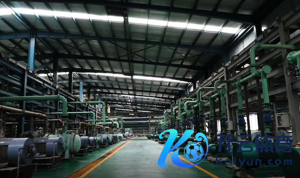 图为藏格矿业锂盐子公司