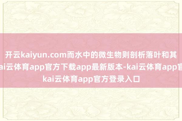 开云kaiyun.com而水中的微生物则剖析落叶和其他有机物-kai云体育app官方下载app最新版本-kai云体育app官方登录入口