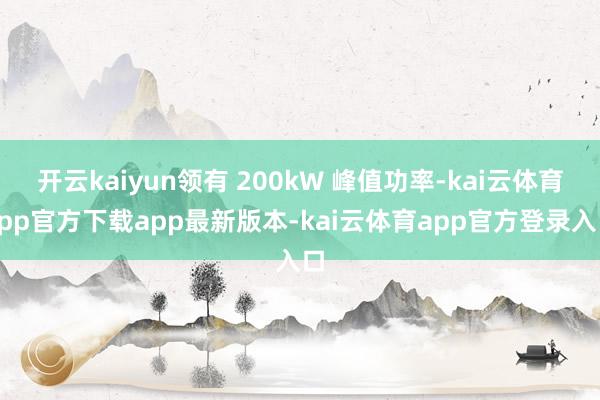 开云kaiyun领有 200kW 峰值功率-kai云体育app官方下载app最新版本-kai云体育app官方登录入口