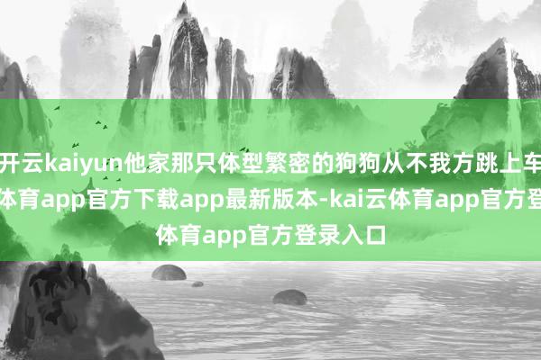 开云kaiyun他家那只体型繁密的狗狗从不我方跳上车-kai云体育app官方下载app最新版本-kai云体育app官方登录入口
