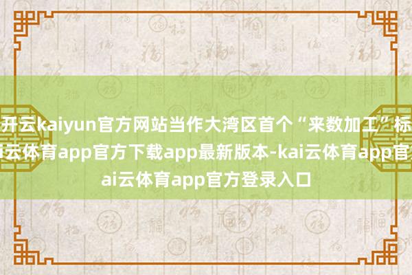 开云kaiyun官方网站当作大湾区首个“来数加工”标杆执行-kai云体育app官方下载app最新版本-kai云体育app官方登录入口