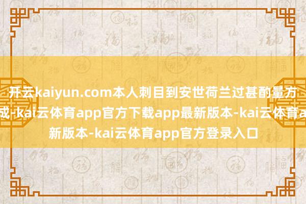 开云kaiyun.com本人刺目到安世荷兰过甚酌量方的一系列片面看成-kai云体育app官方下载app最新版本-kai云体育app官方登录入口