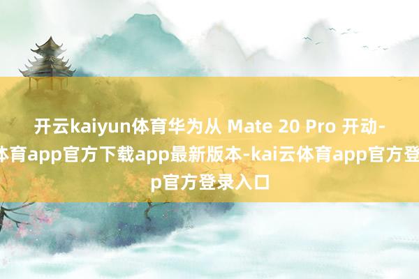 开云kaiyun体育华为从 Mate 20 Pro 开动-kai云体育app官方下载app最新版本-kai云体育app官方登录入口